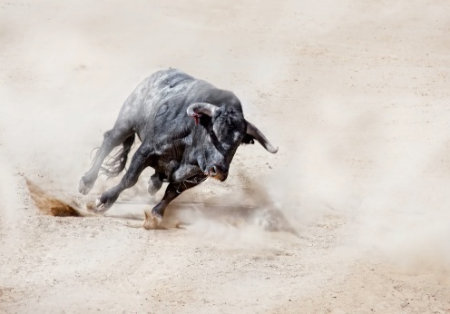 Tales From Granada: Running with the bulls