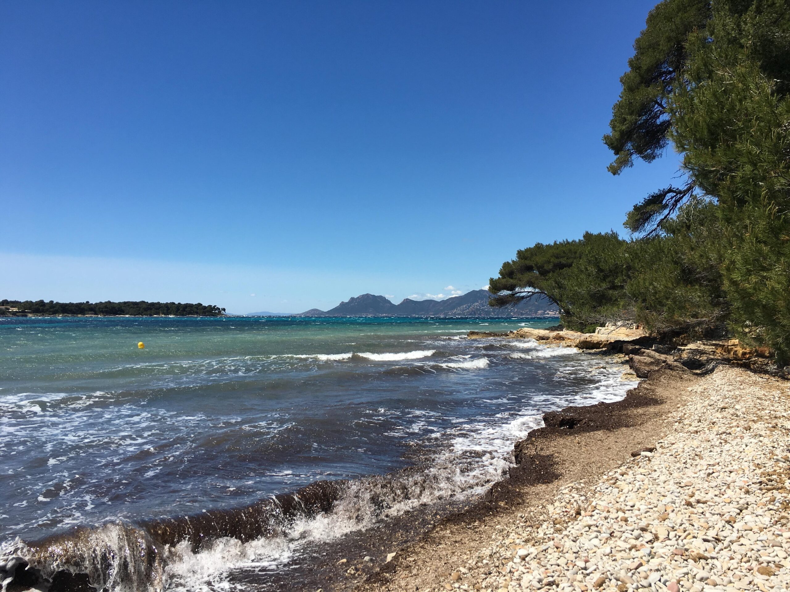 Eating your way through Cannes, France