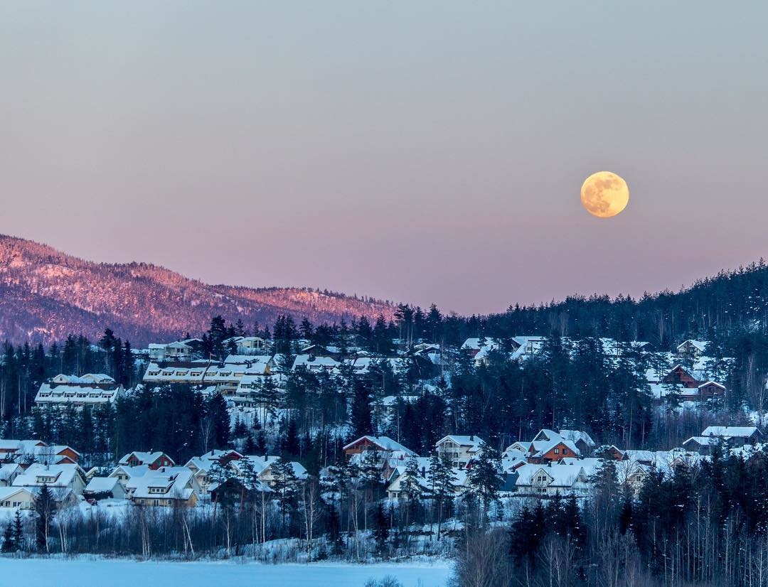 Journi Guide | Explore Southern Norway like the Locals in Bø i Telemark