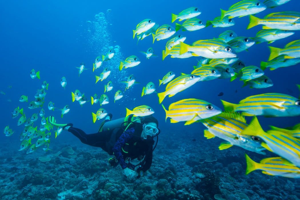 The Best Places to Go Scuba Diving this Summer