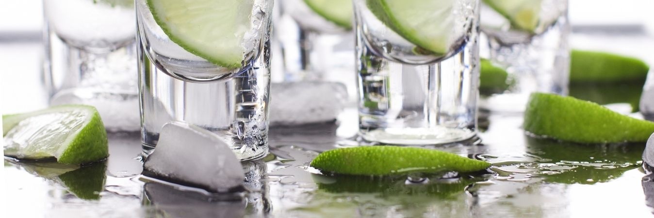 Best Tours To Thrill Tequila Lovers