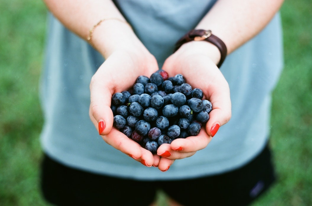 The Best Places for Summer Blueberry Picking