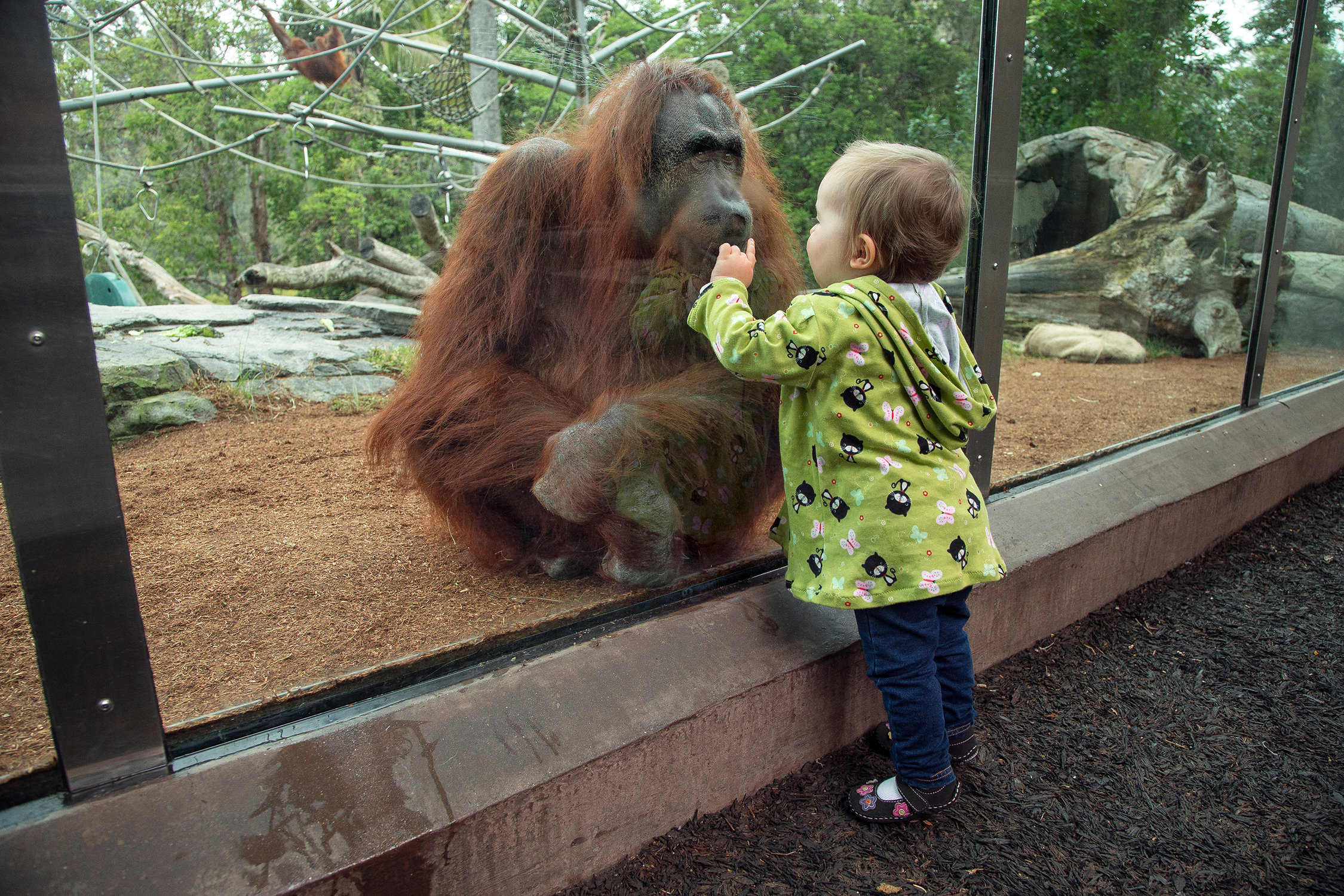 The 10 Best Ethically-Conscious Zoos Across America