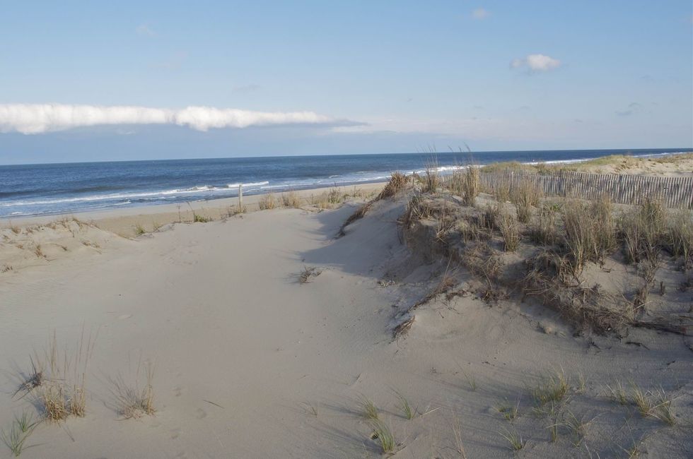 Delaware Seashore State Park