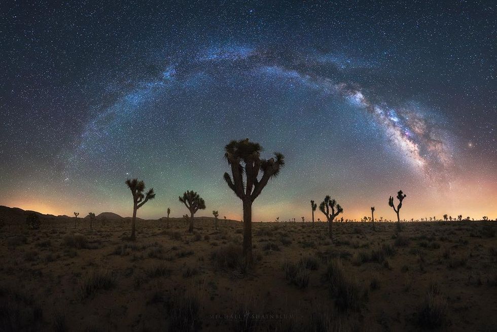 Joshua Tree Night Sky