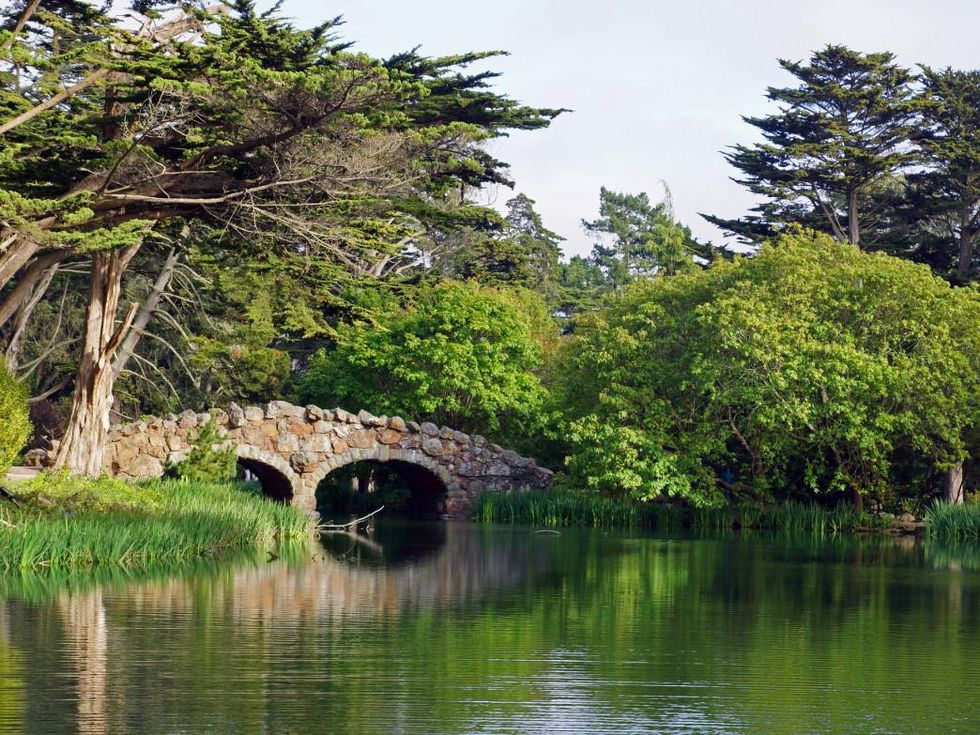 Stowe Lake Golden Gate Park