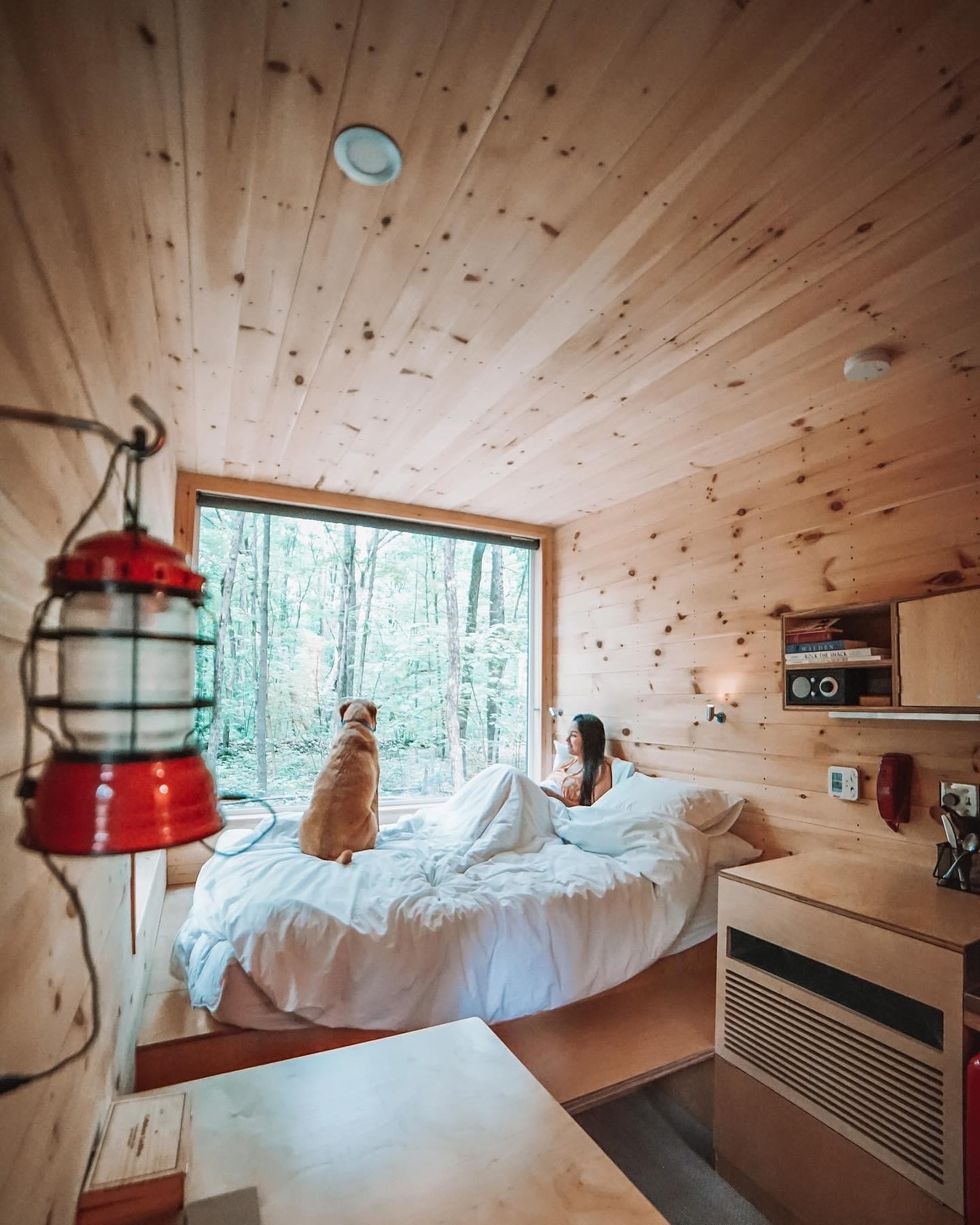 Woman in bed with dog inside of cabin