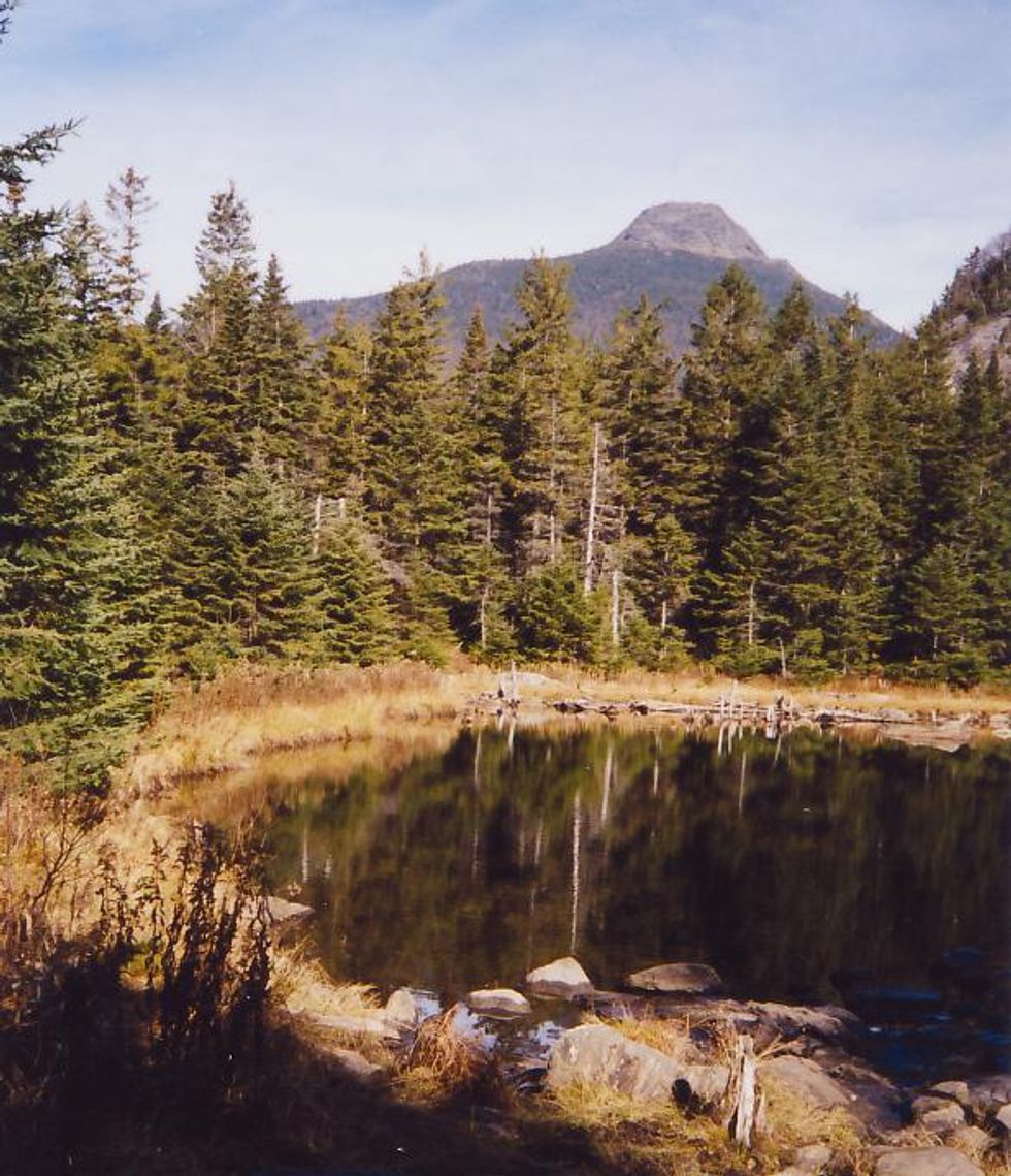 The Long Trail in Winhall, Vermonu200bt