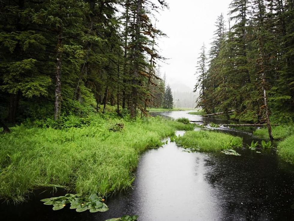 u200bTongass National Forest