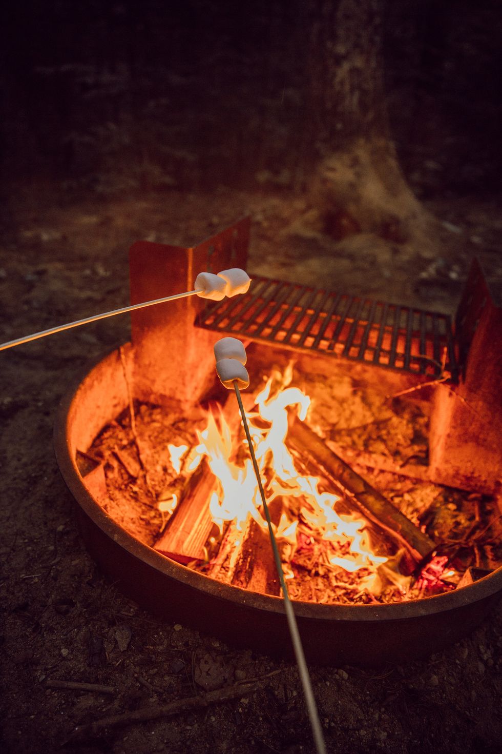 roasting marshmallows on campfire