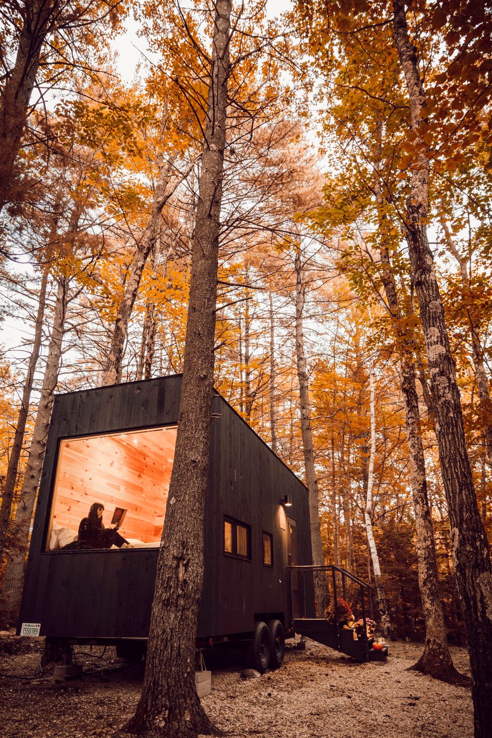 Cabin in the woods with a woman reading in the window