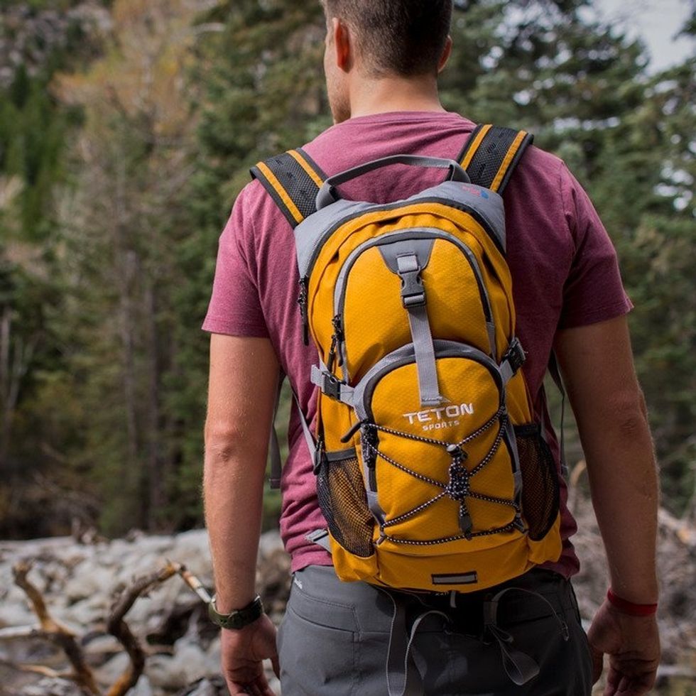 Teton Sports Backpack