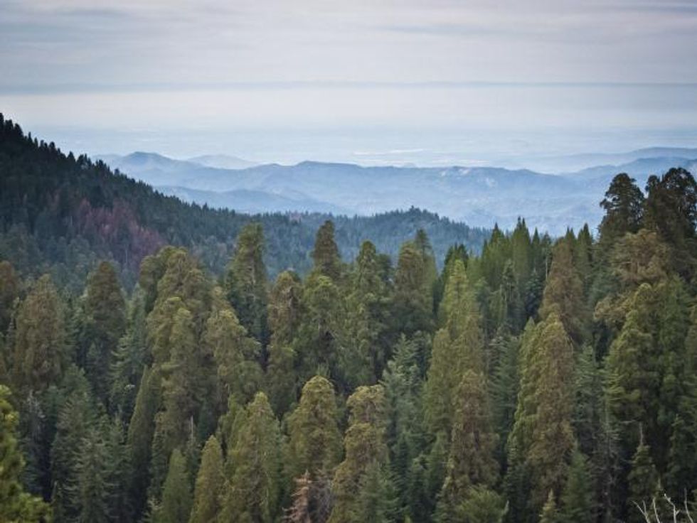 Sequoia National Park