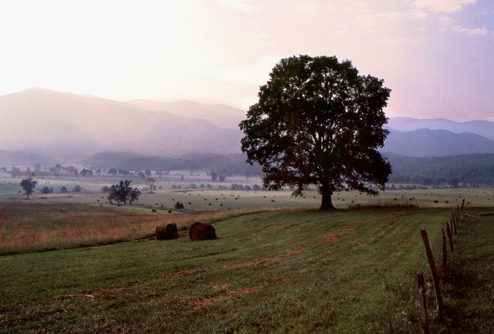 5. Great Smoky Mountains National Park