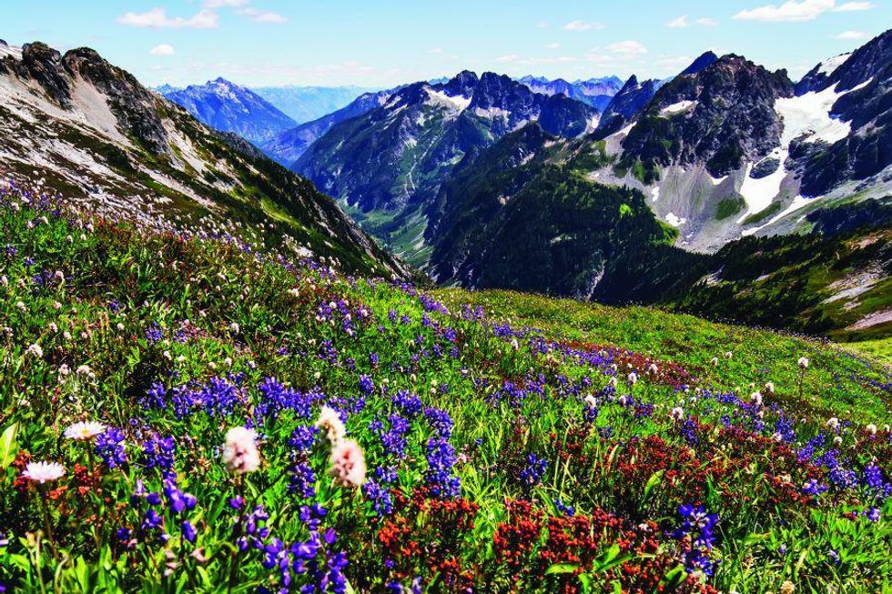 North Cascades National Park