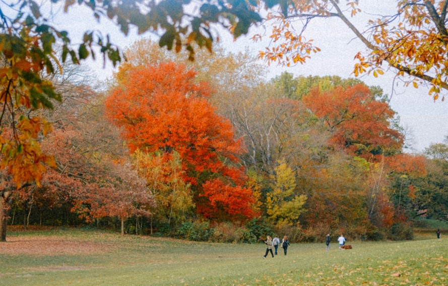 Vacations Inspired By Your Favorite Halloween Movie 