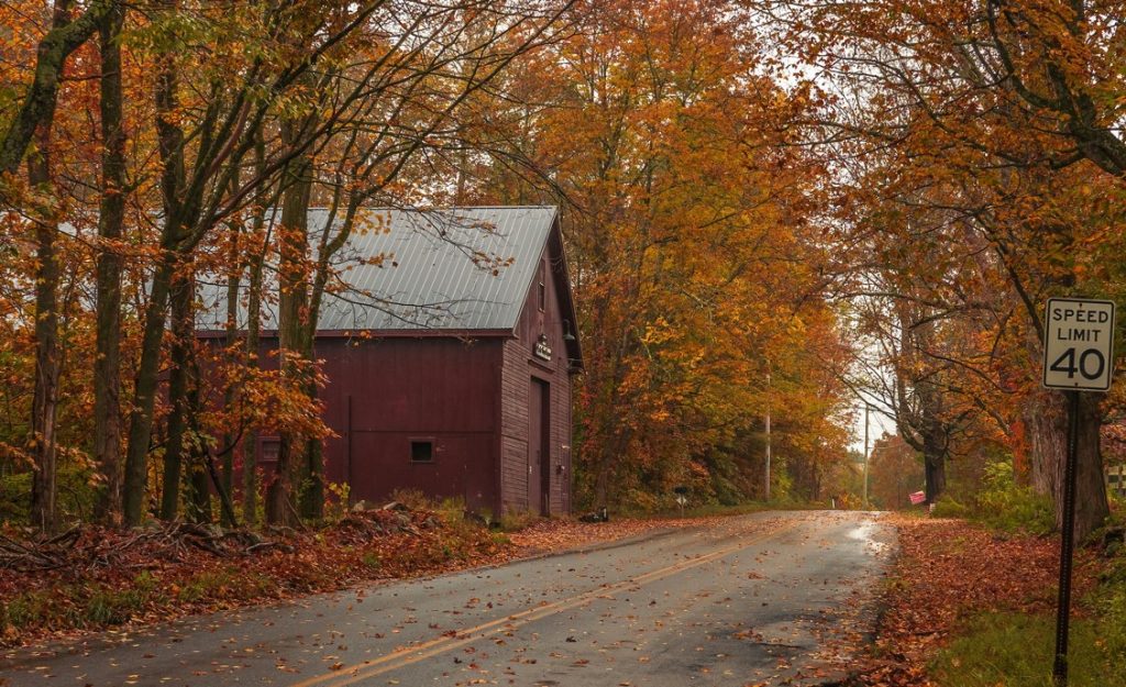 Leaf Peeping in MA - Photo by Belia Koziak Unsplash